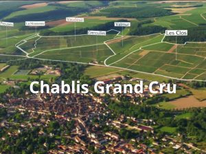 Chablis grand cru (800 x 600 px)